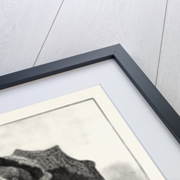 Fins De Siecle in Fashions, 1893 by Anonymous