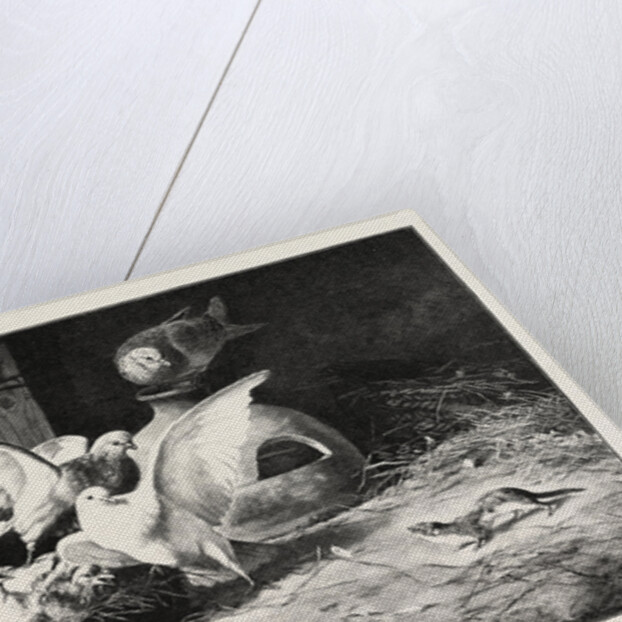 An Unwelcome Visitor by Anonymous