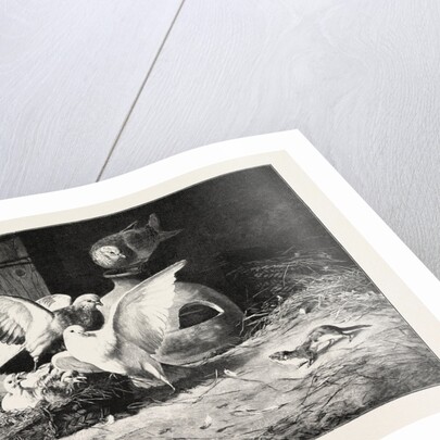 An Unwelcome Visitor by Anonymous