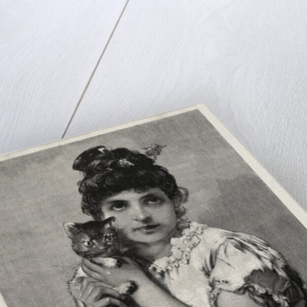 Catseyes, Cat Eyes by Anonymous