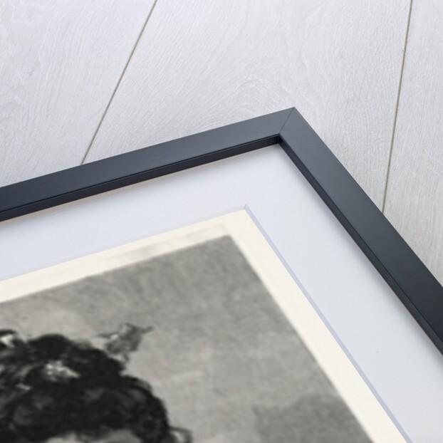 Catseyes, Cat Eyes by Anonymous