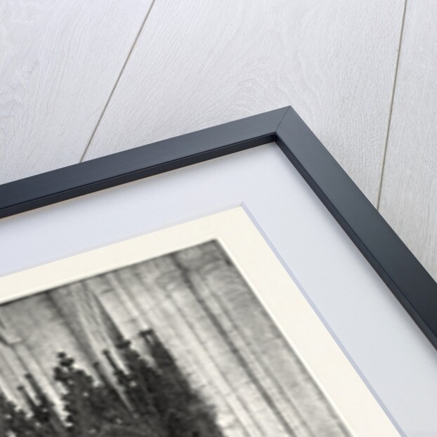 Eight Hundredth Anniversary of Winchester Cathedral: The Choir Screen, UK by Anonymous