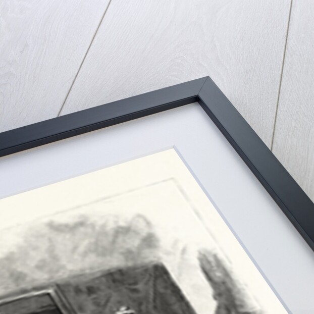 Her Majesty's Drawing Room, after the Presentation, at Buckingham Palace, London by Anonymous