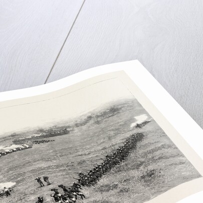 Fighting on the Gambia in West Africa: The Capture of Toniataba by Anonymous