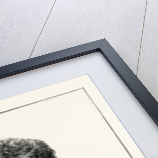 H.R.H. Princess Marie of Edinburgh by Anonymous