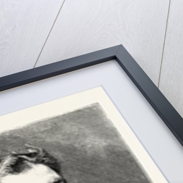 Count Herbert Bismarck by Anonymous