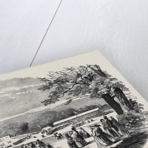 Fete in Bradley Woods, Devon by Anonymous
