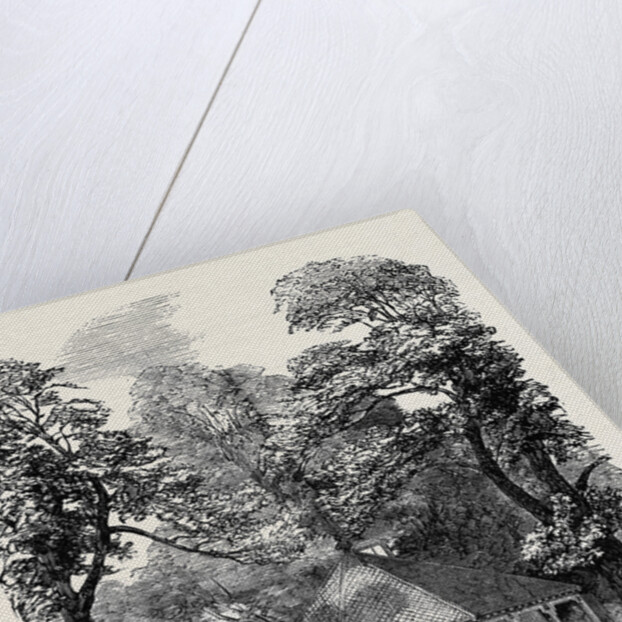 Refreshment Room in Kensington Gardens by Anonymous