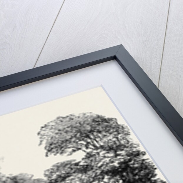 Refreshment Room in Kensington Gardens by Anonymous