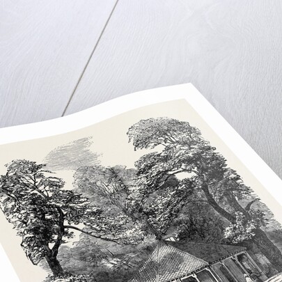 Refreshment Room in Kensington Gardens by Anonymous