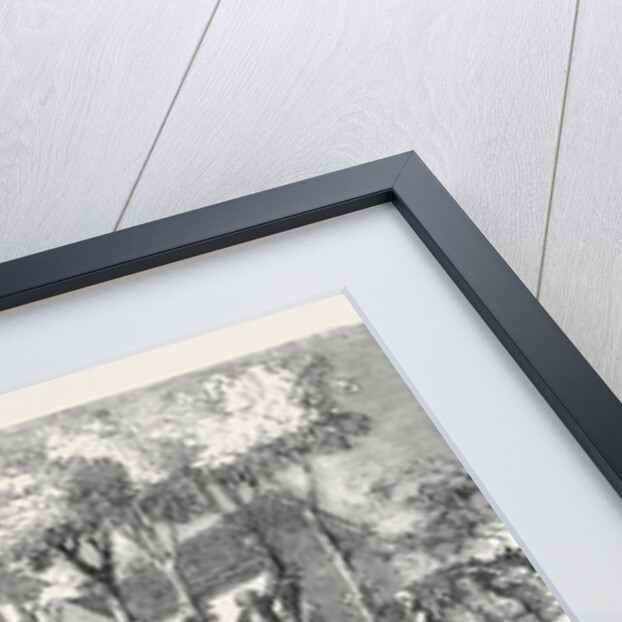 The Dunmow Procession, June 20, 1751 by Anonymous