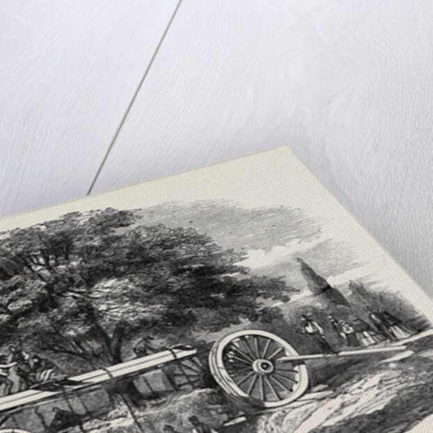 Removal of a Tree by Barron's Machine, in the Royal Botanic Society's Garden, Regent's Park by Anonymous