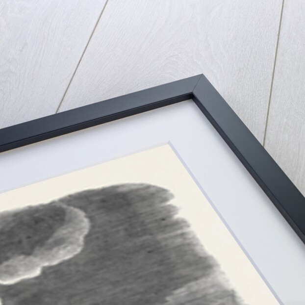 Russian Frigate on Fire in Sebastopol Harbour by Anonymous