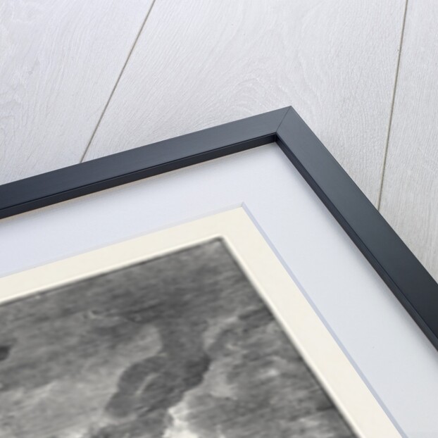 Burning of the Santa Maria Frigate in Sebastopol Harbour by Anonymous