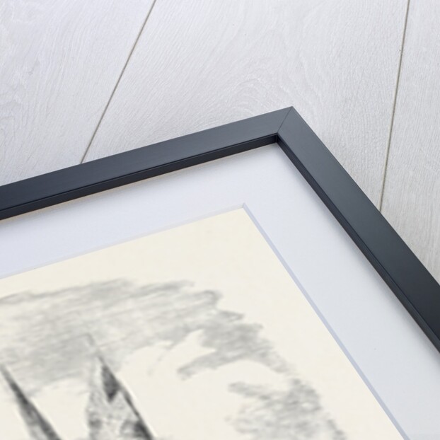 Investiture of the Order of the Bath, by Lord Stratford De Redcliffe, Before Sebastopol by Anonymous