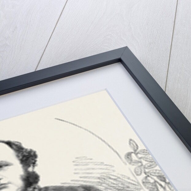 Major-General Windham, C.B., the Hero of the Redan by Anonymous