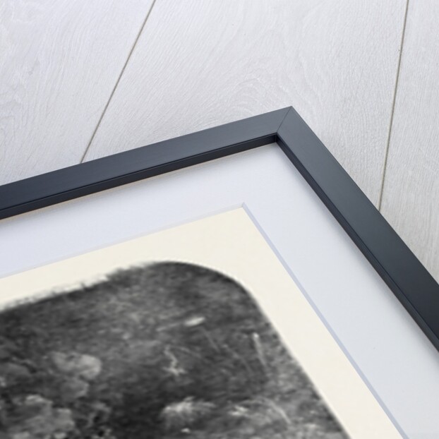 Bonfire and Fireworks on Blackheath, to Celebrate the Fall of Sebastopol by Anonymous