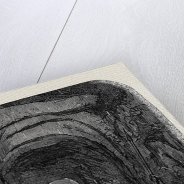 Recent Discoveries at Nineveh: Nineveh Trench by Anonymous