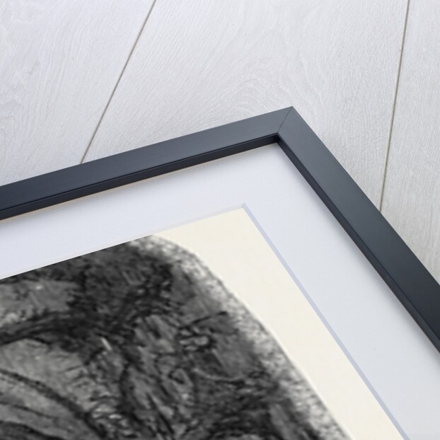 Recent Discoveries at Nineveh: Nineveh Trench by Anonymous