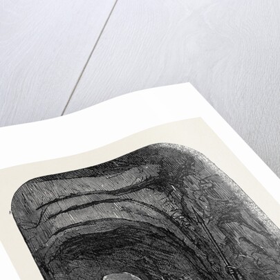 Recent Discoveries at Nineveh: Nineveh Trench by Anonymous