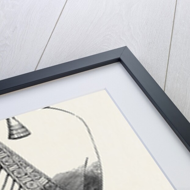 Recent Discoveries at Nineveh: Colossal Statue by Anonymous