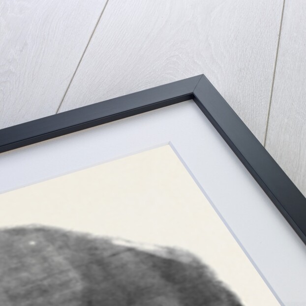 The Siege of Sebastopol, Destruction of the Southern Part of the Large Barracks by Anonymous