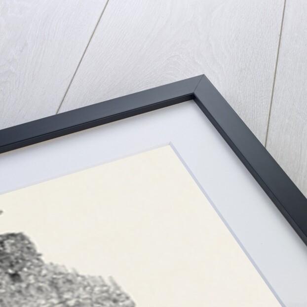 The Paris Universal Exhibition: French Glass Manufactures in the Nave Stall of the Paris Exhibition. by Anonymous