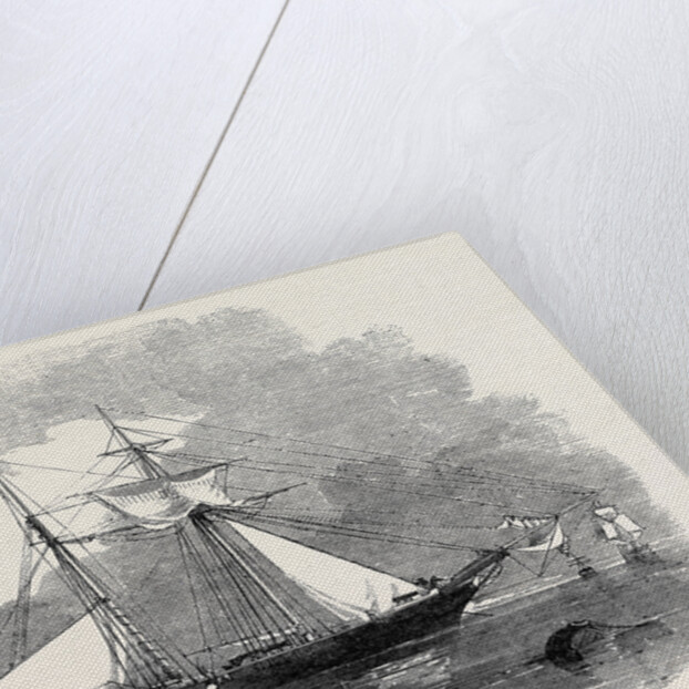 The New Opium Clipper Wild Dayrell by Anonymous