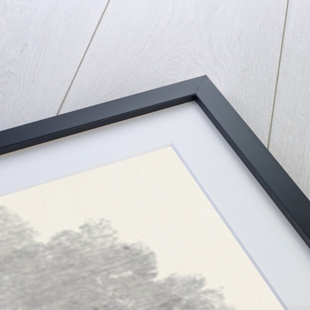 The New Opium Clipper Wild Dayrell by Anonymous