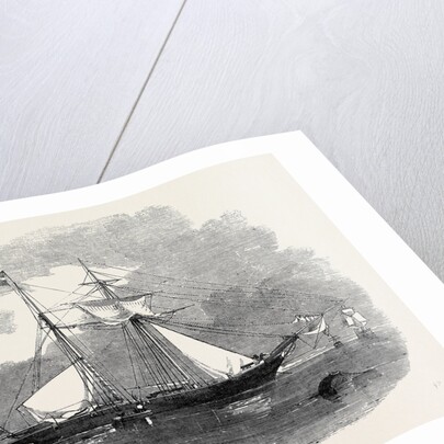 The New Opium Clipper Wild Dayrell by Anonymous