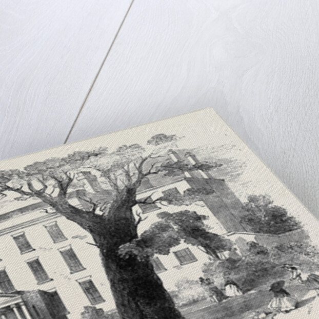 The Warehousemen and Clerks' Schools, Hatcham-Grove House, New Cross. by Anonymous