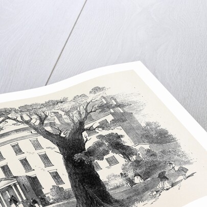 The Warehousemen and Clerks' Schools, Hatcham-Grove House, New Cross. by Anonymous