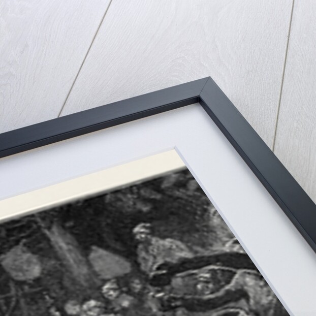 Henley Regatta, Round the Fire on the Island by Anonymous