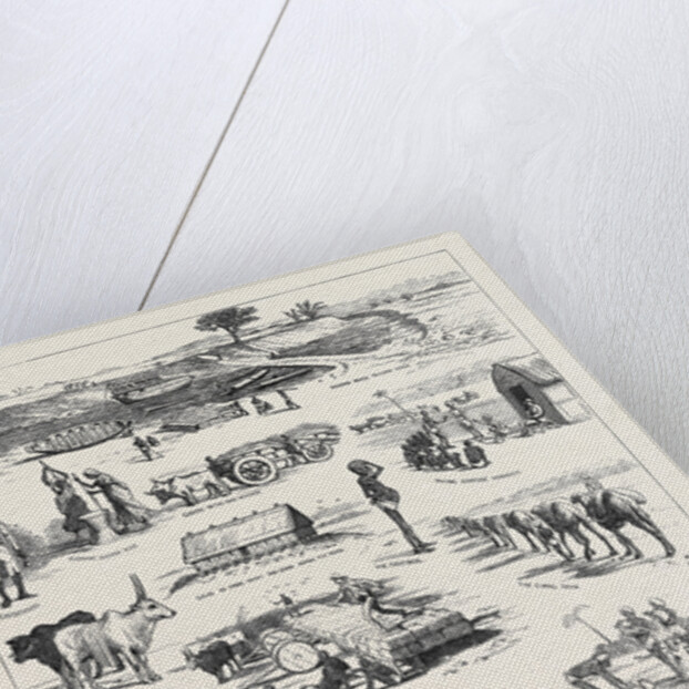 The Indian Famine, Sketches in the Affected Districts, by a Member of the Famine Relief Staff by Anonymous