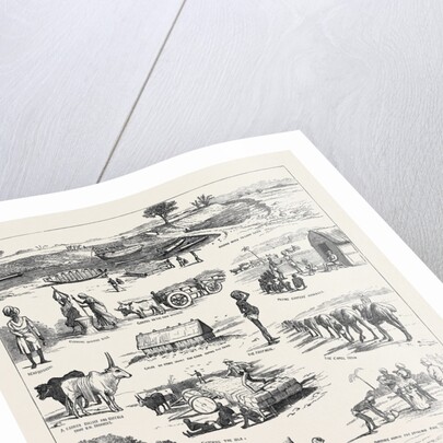 The Indian Famine, Sketches in the Affected Districts, by a Member of the Famine Relief Staff by Anonymous