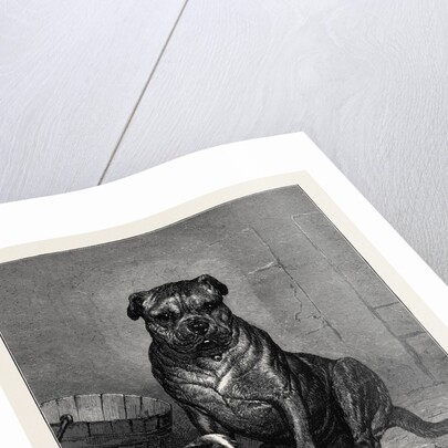 Beauty and the Beast, from the Drawing by John Charlton in the Black and White Exhibition by Anonymous