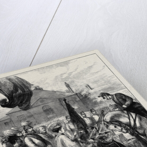 Presentation of New Colours to the 106th Regiment at Parkhurst by H.R.H. The Imperial Princess of Germany by Anonymous