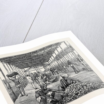 The Ceylon Pearl Fishery, the Government Kottoo by Anonymous