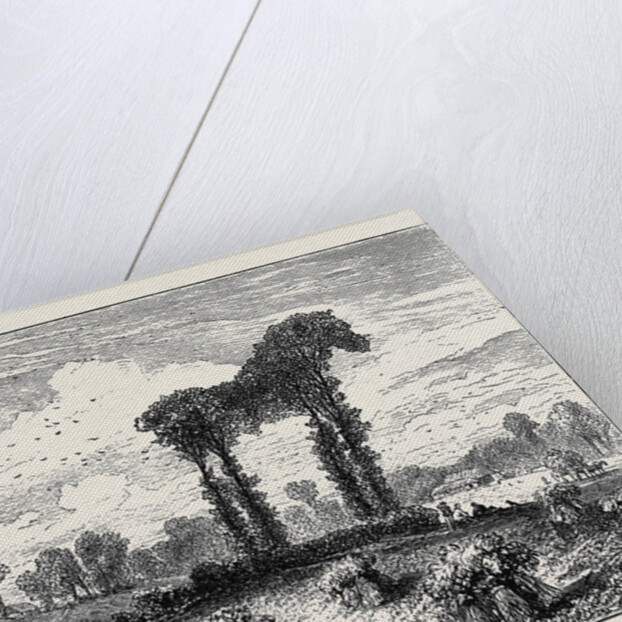 A Vegetable Horse, Curious Natural Phenomenon at Datchet by Anonymous