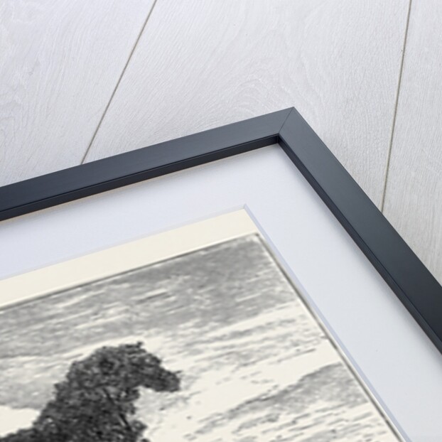 A Vegetable Horse, Curious Natural Phenomenon at Datchet by Anonymous