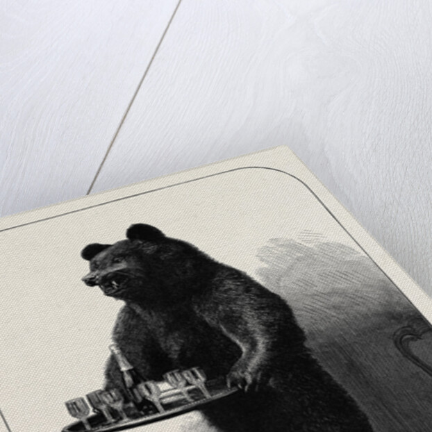 A Dumb Waiter Bear Shot by Lord Suffield in Russia During the Marriage Festivities of the Duke of Edinburgh by Anonymous