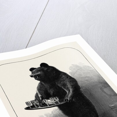 A Dumb Waiter Bear Shot by Lord Suffield in Russia During the Marriage Festivities of the Duke of Edinburgh by Anonymous