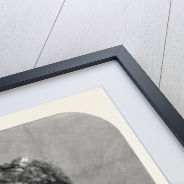 Her Imperial Majesty the Empress of Russia by Anonymous