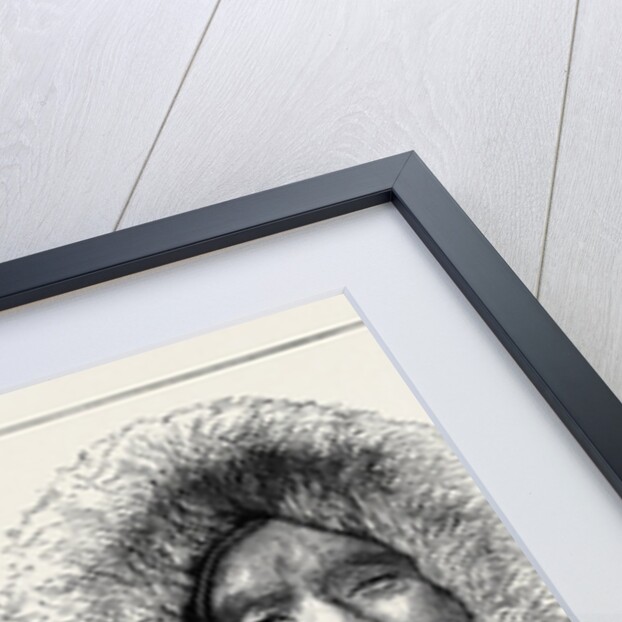 The Austrian Polar Expedition: Dead Seals on the Ice, A Samoiede Pilot by Anonymous