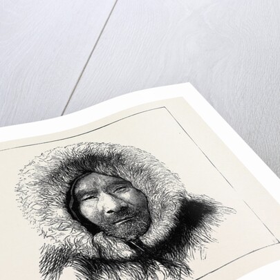 The Austrian Polar Expedition: Dead Seals on the Ice, A Samoiede Pilot by Anonymous