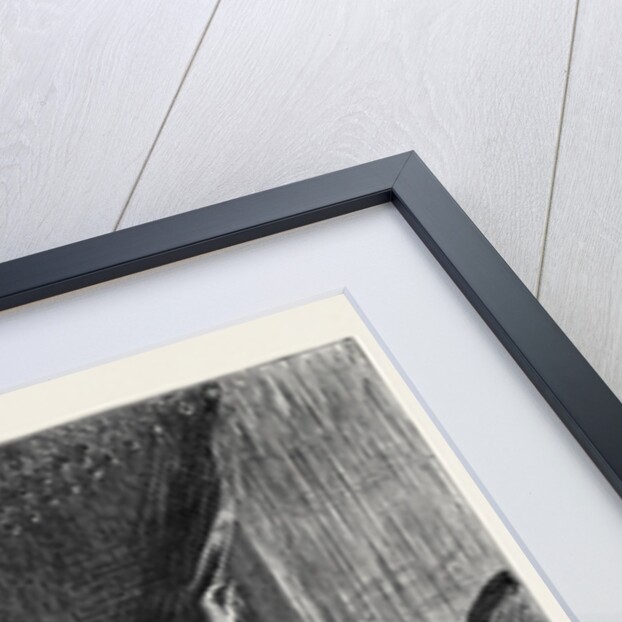 Image Accompanying the Law and the Lady: A Novel, Chapter XX, the End of the Trial by Anonymous