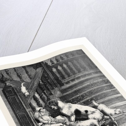 The Dogs' Christmas Dinner by Anonymous