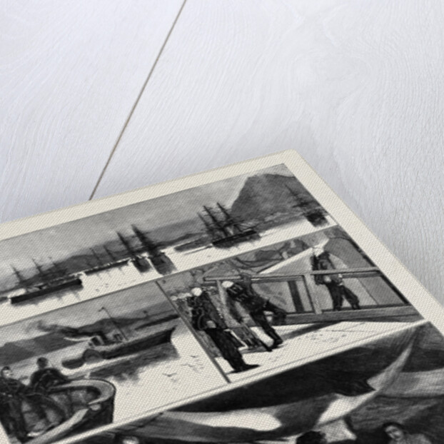 The Crisis in Egypt, the Voyage of H.M.S. Troopship Orontes by Anonymous