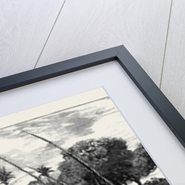 The Crisis in Egypt: The Atfeh Canal, which Connects Alexandria with the Nile by Anonymous