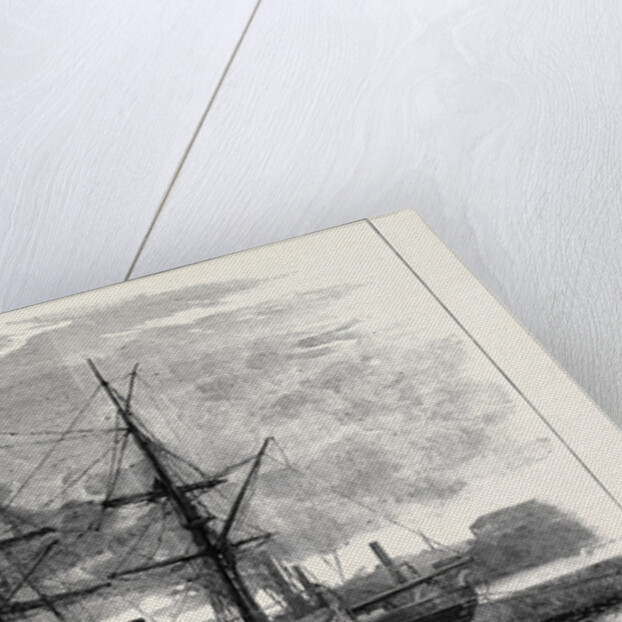 The Eira Arctic Relief Expedition Under Captain Sir Allen Young: The Exploring Steam Vessel Hope by Anonymous